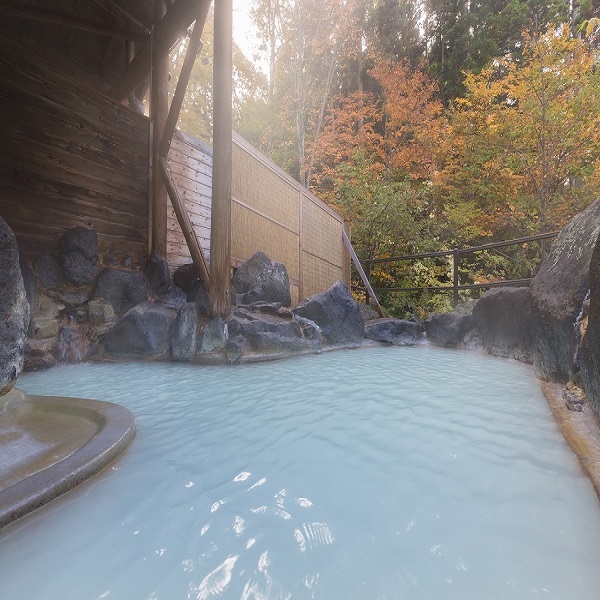 中ノ沢温泉 磐梯西村屋 宿泊プラン一覧 楽天トラベル 中ノ沢温泉 磐梯西村屋 宿泊プラン一覧 楽天トラベル