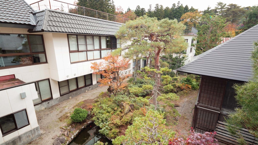 ・大きな松のある庭園は四季に色付く日本の美をお楽しみいただけます