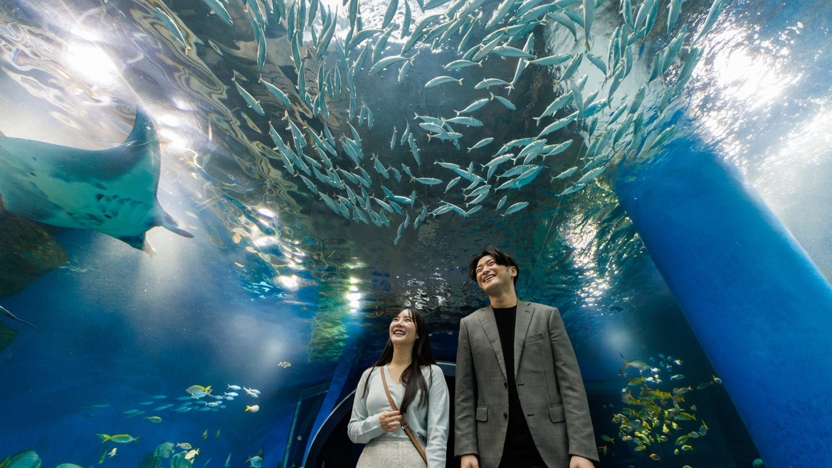 1月3日限定　閉館後の水族館で楽しむ　NEW YEAR NIGHT（ラウンジ利用＆レストラン朝食付）