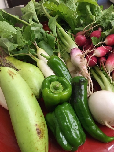 自然の意めぐみたっぷり・えひめ産の野菜