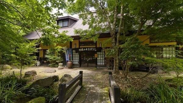 当店の広々とした敷地には、四季折々の草花がいっぱい！その中にひっそり佇む