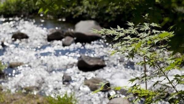 お食事処からの渓流「紅池川」