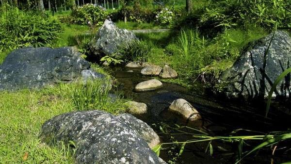 お店の前を流れる小川にはホタルも現れます