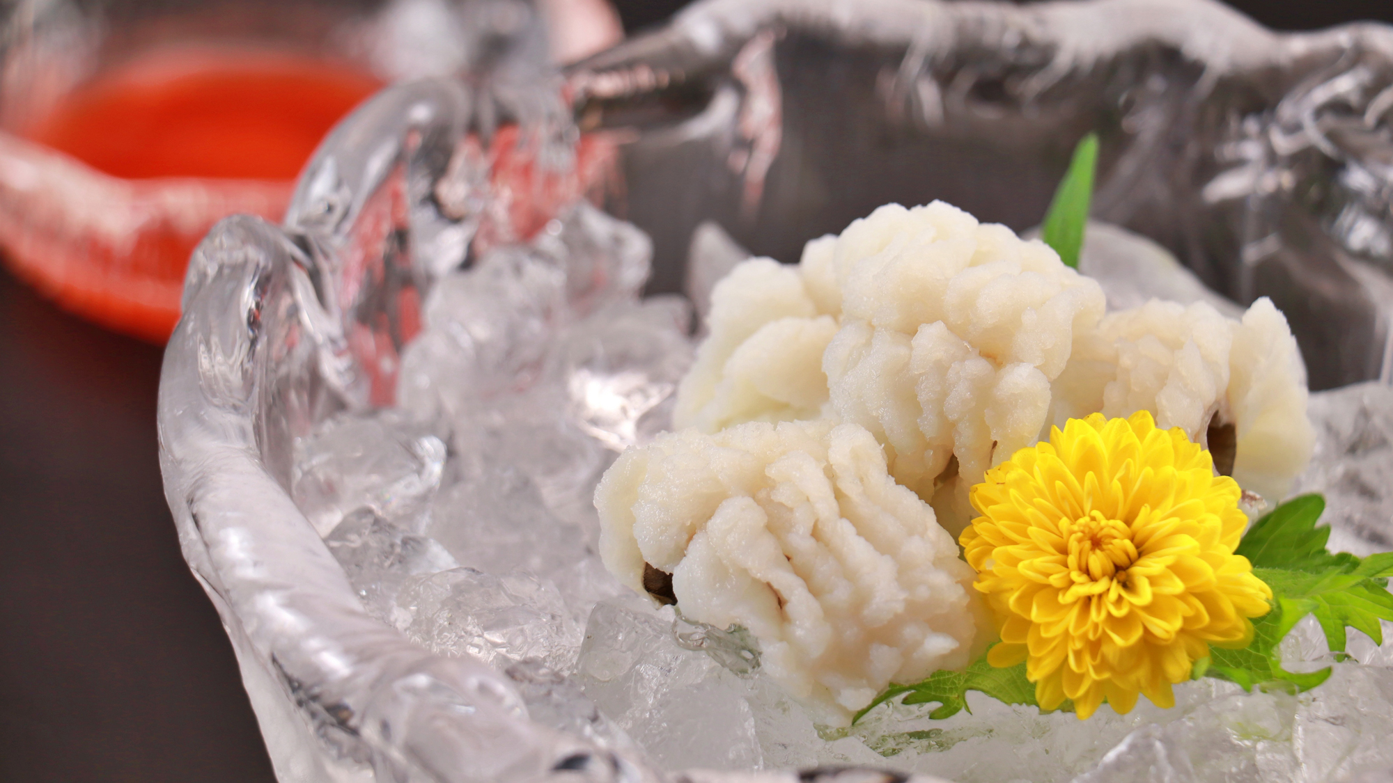 【鱧会席】鱧の湯引き