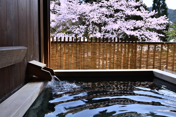 〓3月・4月・5月〓 春の翠泉流会席と湯けむりの癒し 〜心ほどける春旅〜（二食付）