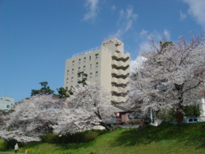 ホテル外観桜
