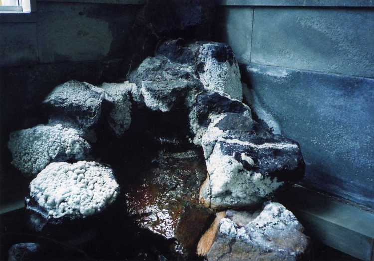 hot spring