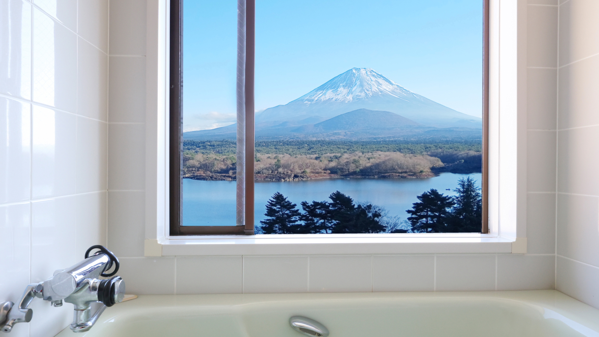 【特別和洋室B】16平米