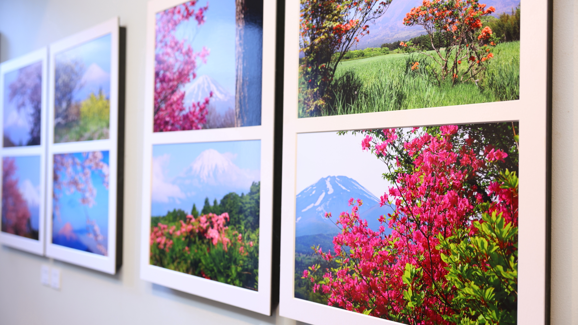 館内には、四季折々の表情を切り取った富士山の写真を展示。ご滞在の合間に、ぜひご自由にお楽しみください