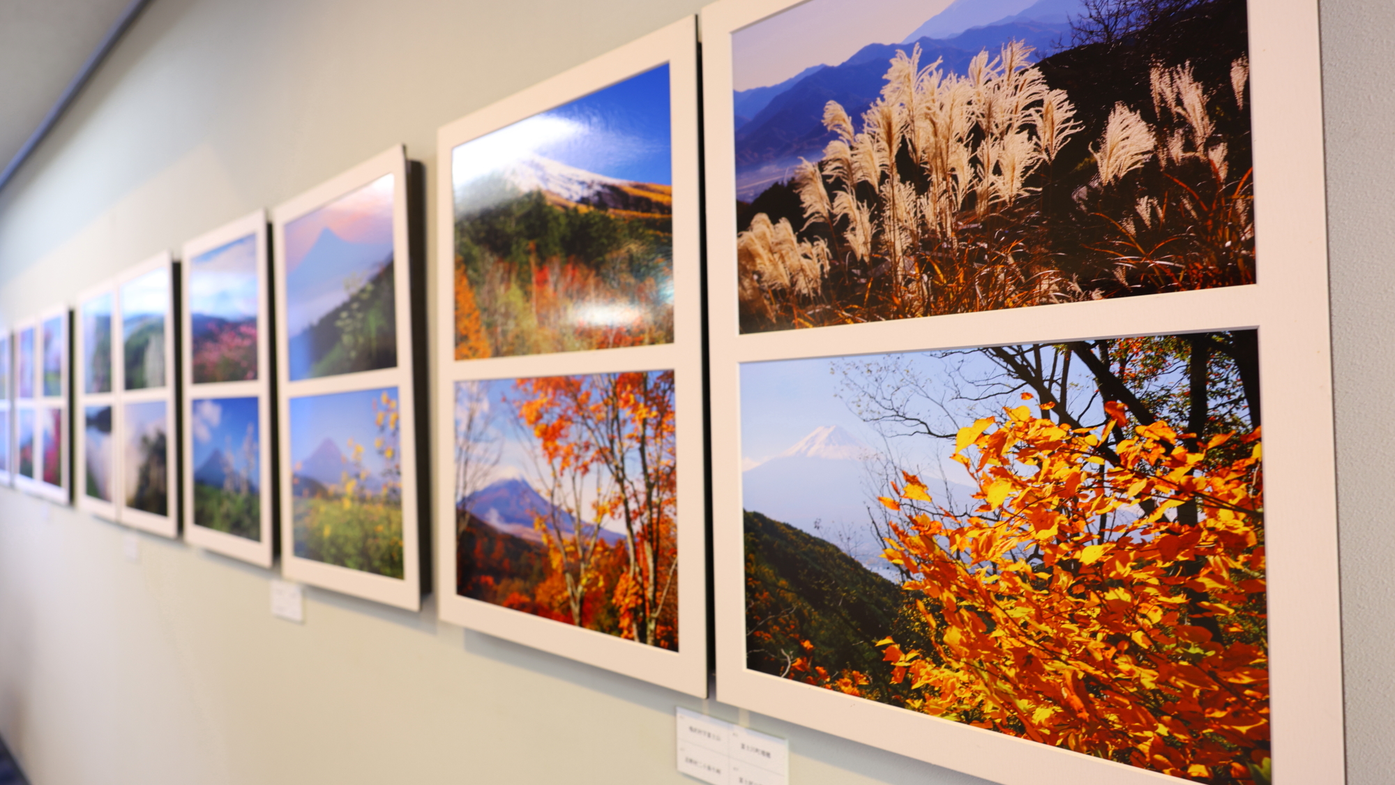 館内には、四季折々の表情を切り取った富士山の写真を展示。ご滞在の合間に、ぜひご自由にお楽しみください