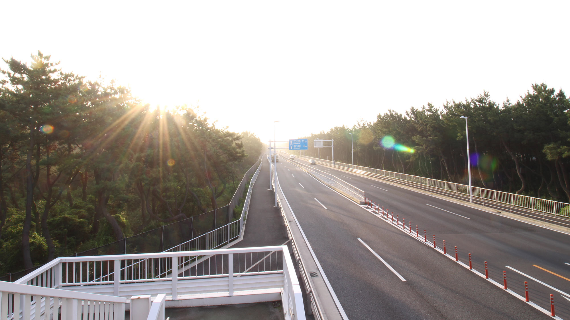 *平塚海岸への遊歩道／歩道橋で国道１３４号線を渡れば、海はもうすぐそこ。