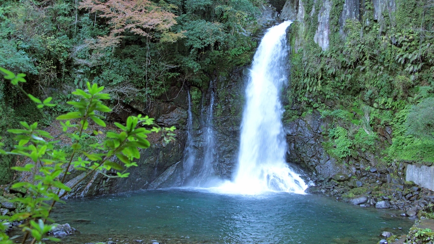 ◆伊豆で最大級の『大滝』を見ながら入れる露天風呂。これだけの滝を間近に見ながら入るお風呂はここだけ