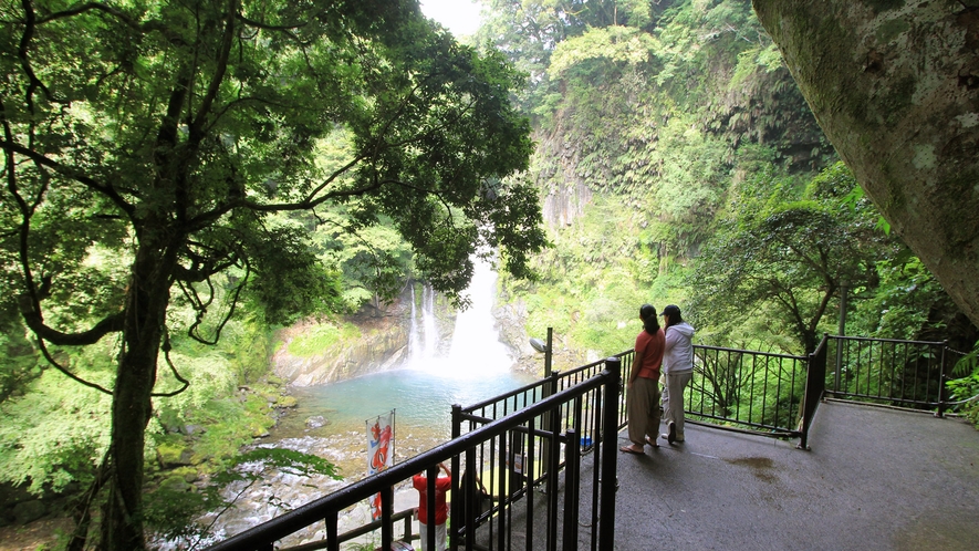 ◆山道を下り、見えてくる伊豆半島最大級の「大滝」
