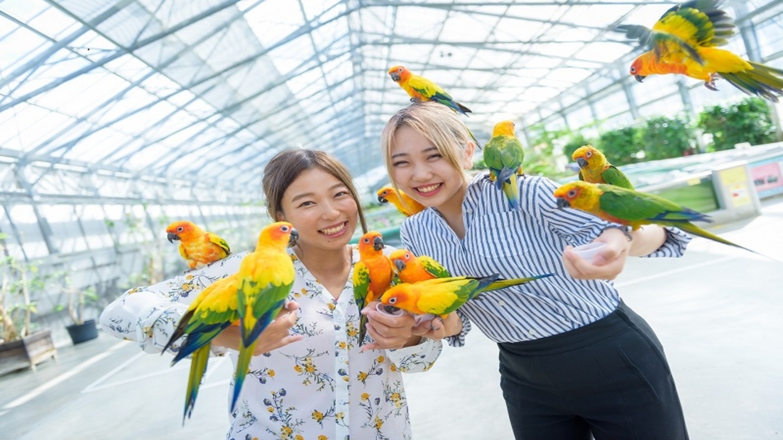 【花と鳥とのふれあい】掛川花鳥園入園券付きプラン♪＜朝食付＞