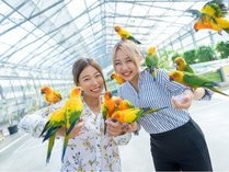 【花と鳥とのふれあい】掛川花鳥園入園券付きプラン♪＜朝食付＞
