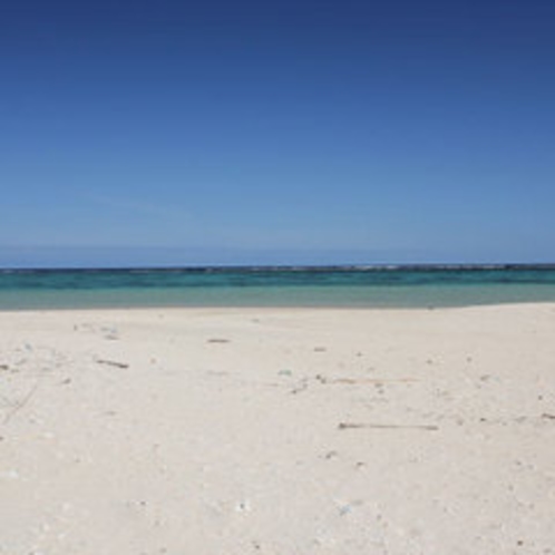 吉原の海　真っ白な砂浜