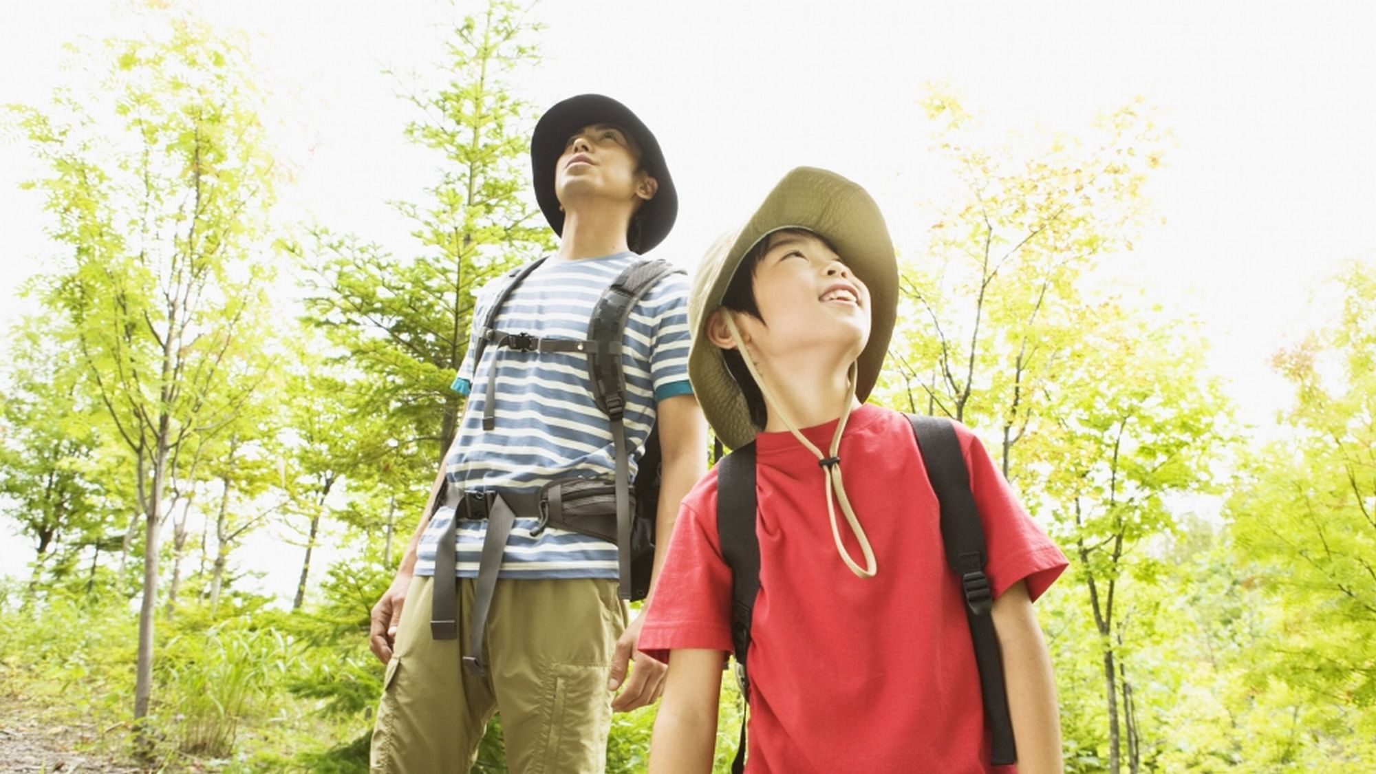 【楽天トラベルサマーSALE】素泊まりセールプランがさらにお得♪