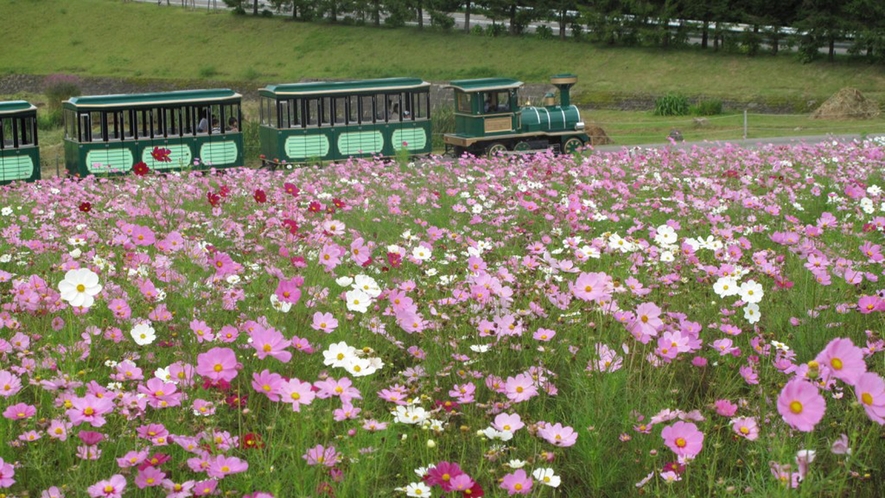 【ひるがの高原・牧歌の里】当館から車で２０分