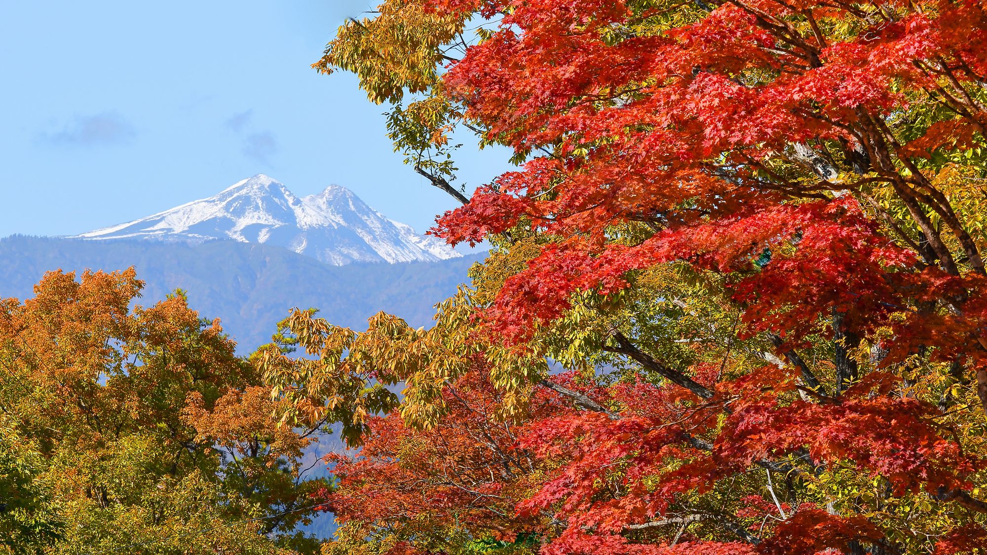 【敷地内景色】