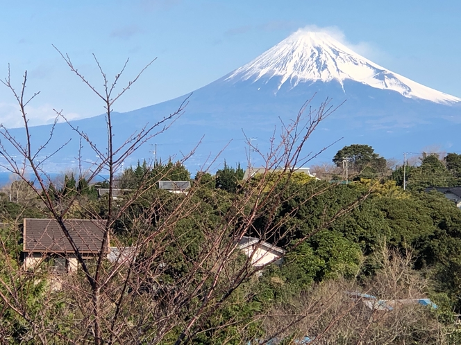 施設から眺める富士山