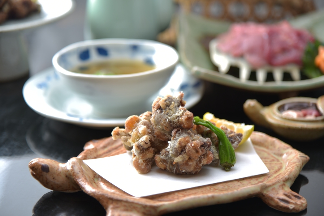 ★すっぽんのお刺身がついた★スタンダードのご夕食付プラン　朝食付