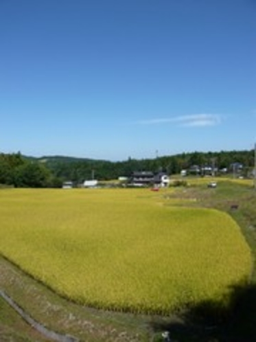 ダイニングルームからの景色【秋】