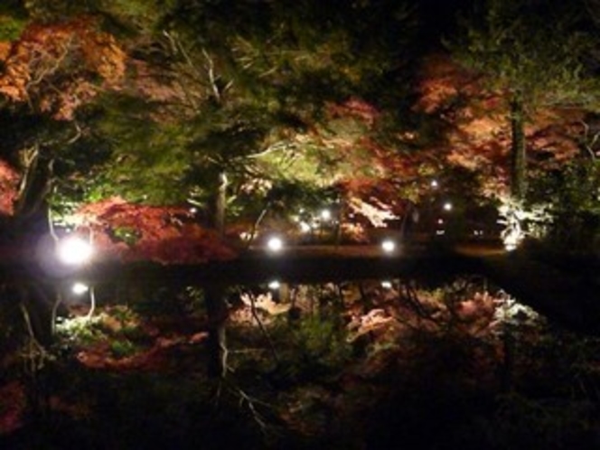 曽木公園の紅葉ライトアップ