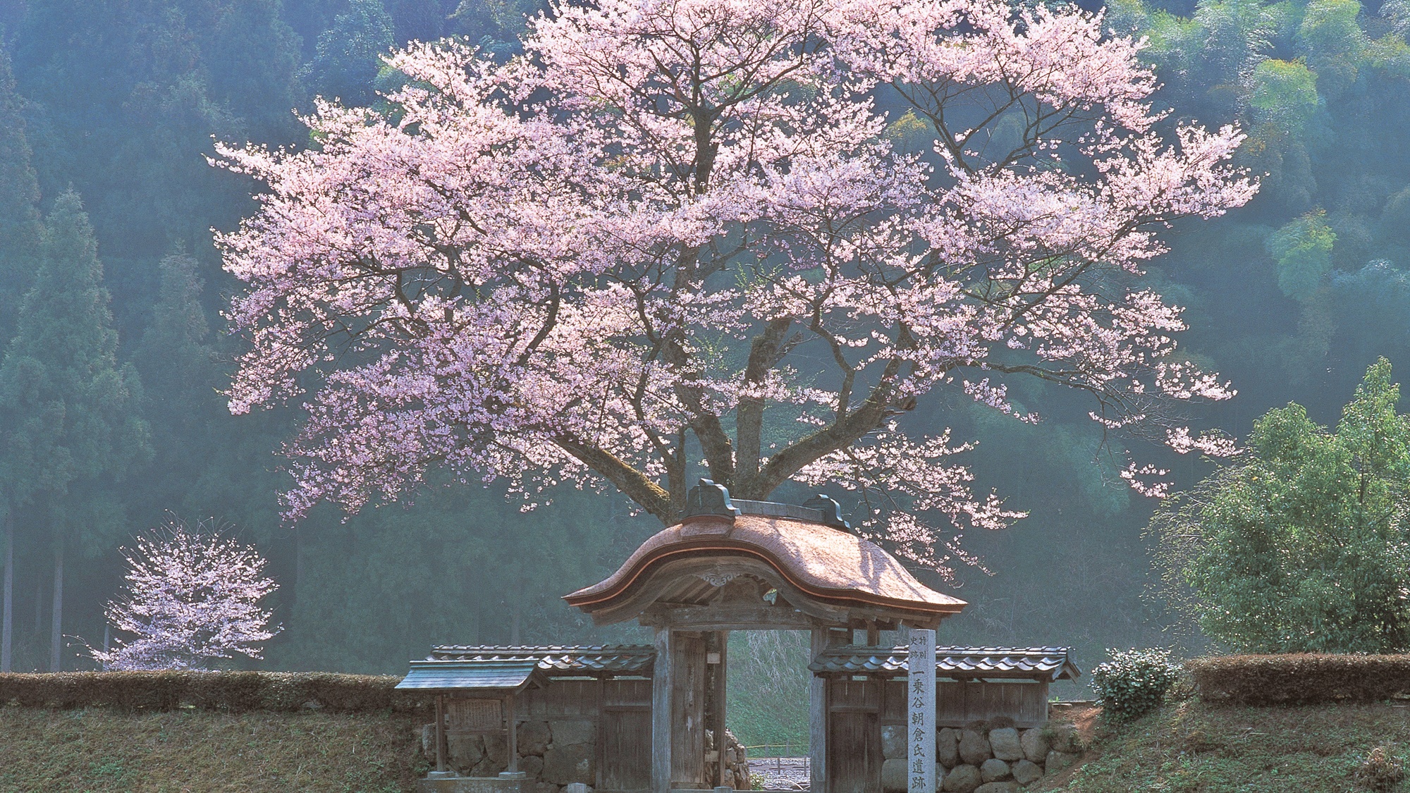 *朝倉氏遺跡門前