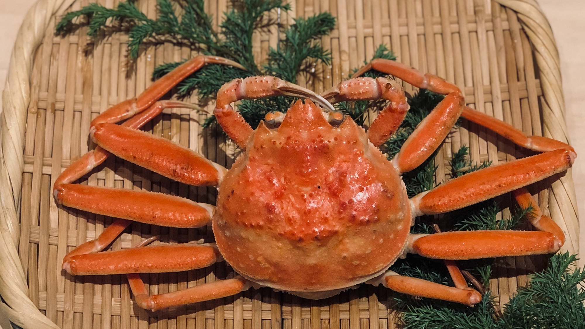 *せいこ蟹：メスのせいこ蟹を 釜揚げで存分に味わえます