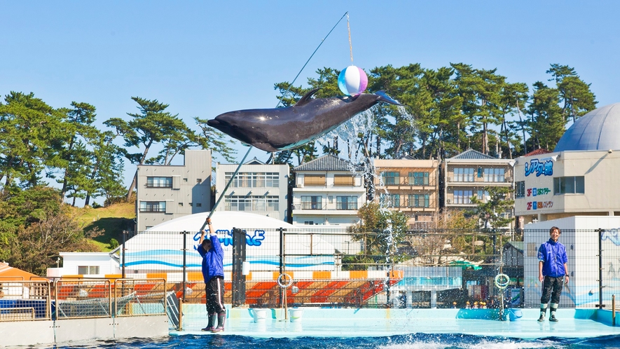 *越前松島水族館