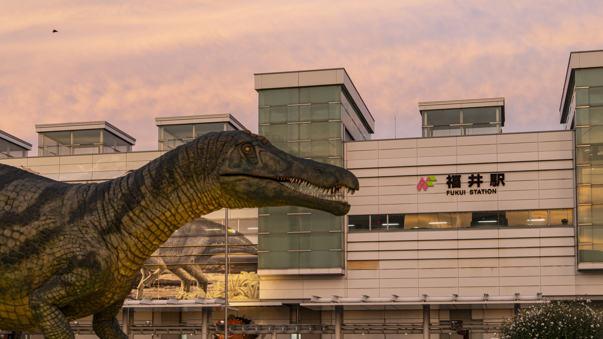 *【周辺観光】福井駅前恐竜広場：幻想的な空と恐竜が調和する福井駅前の風景を楽しめます