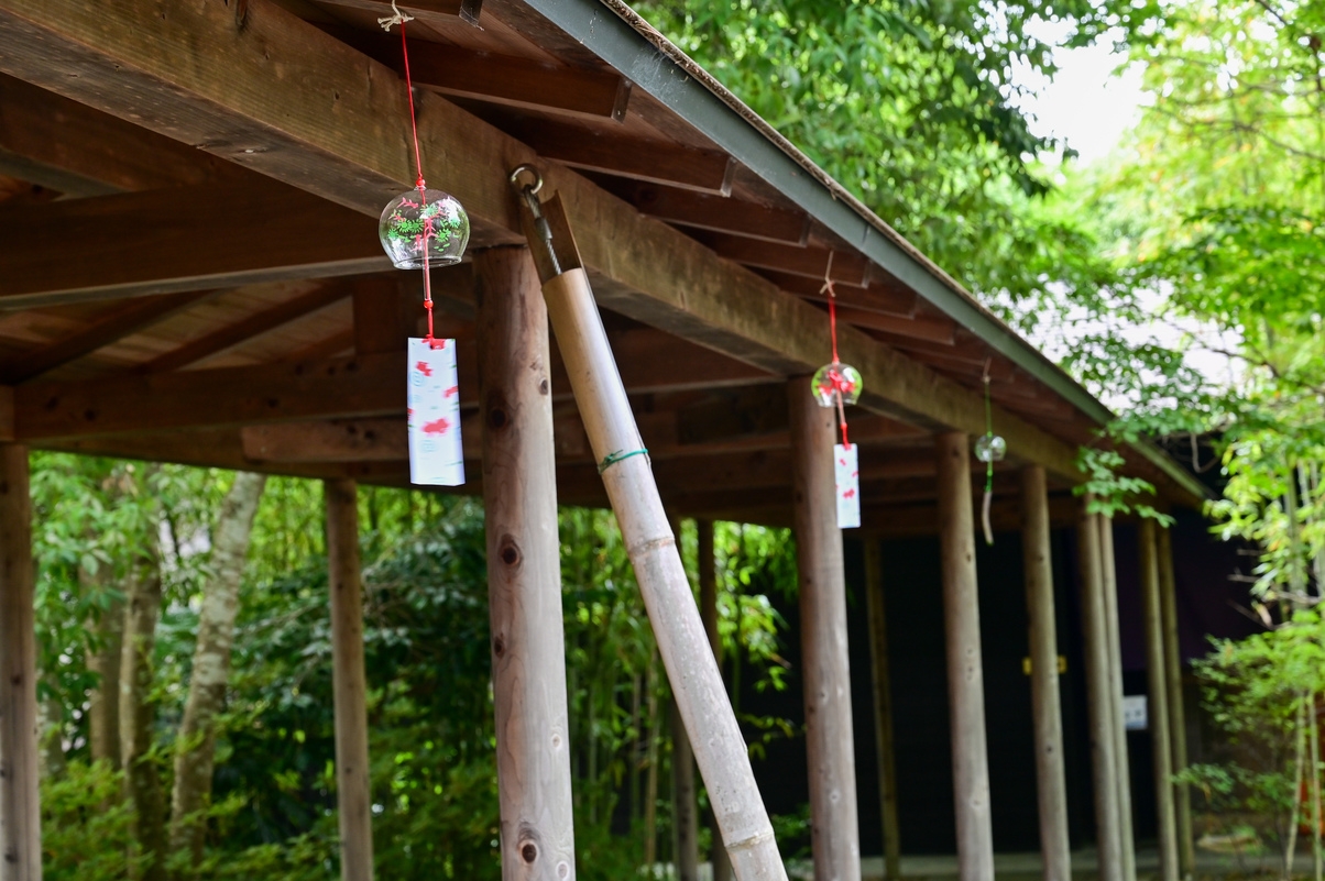 【直前割】8月22日（土）限定     湯・食・景・寛ぎの極みを心ゆくまで