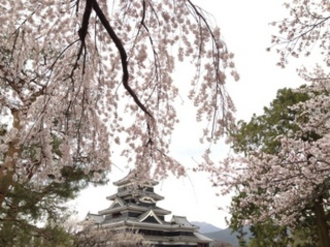 Matsumoto Castle