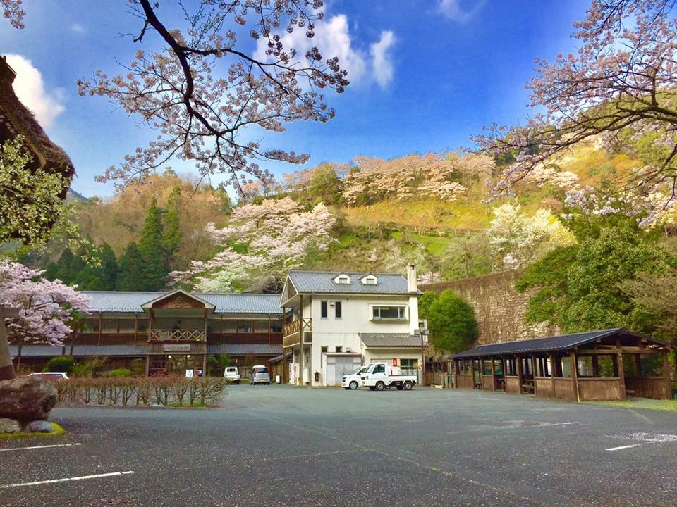 四国カルストのホテル 旅館 宿泊予約 愛媛県 楽天トラベル