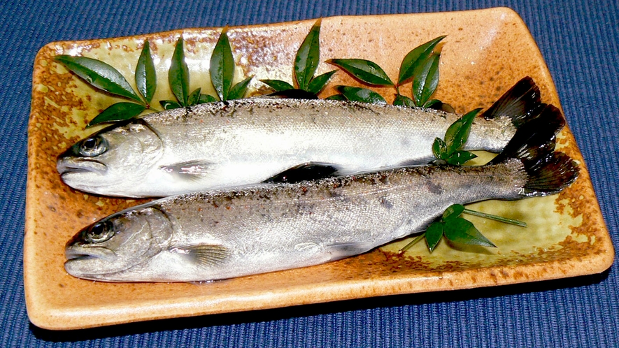 【アマゴの塩焼き】川魚の女王・アマゴを塩焼きで！皮の香ばしさとほっくりとした上品な味わいが絶品です