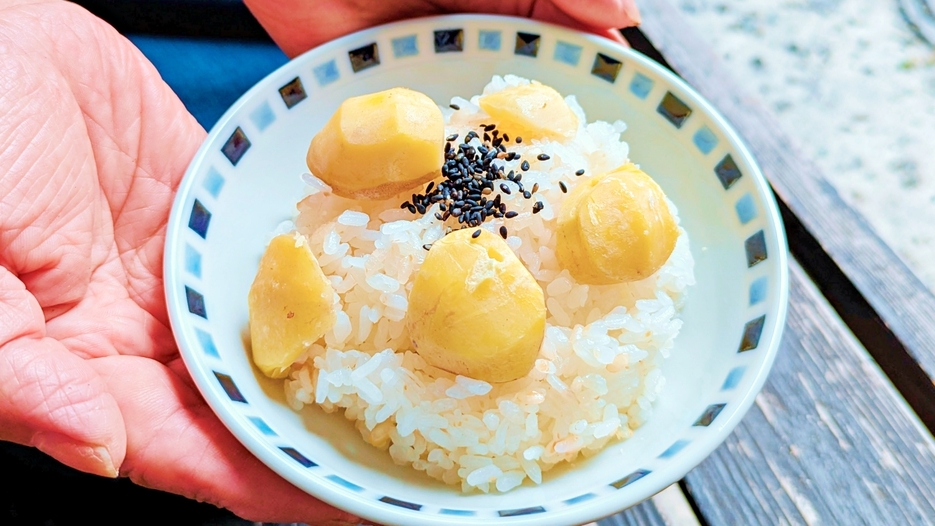 【期間限定】ブランド栗『完熟石畳栗』を使用した夕食〜旬の栗を堪能する〜【1泊2食】