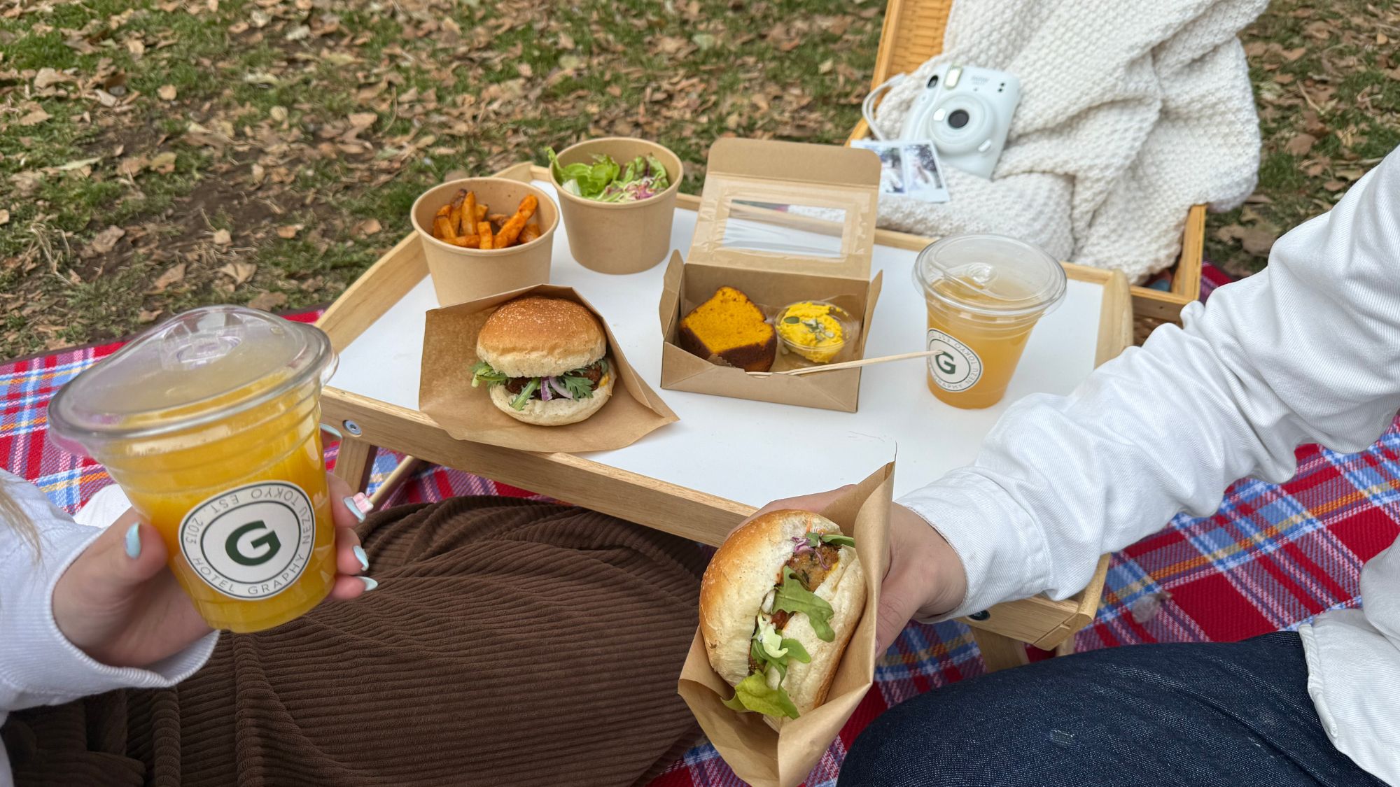 ピクニックプラン