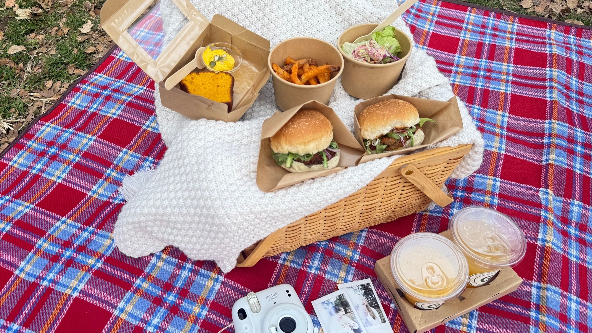 ピクニックプラン