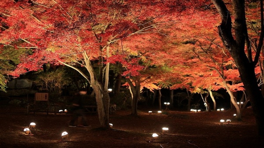 ☆秩父名所鑑賞ツアー☆もみじが鮮やかな時期は、素敵な紅葉のライトアップにお連れいたします♪