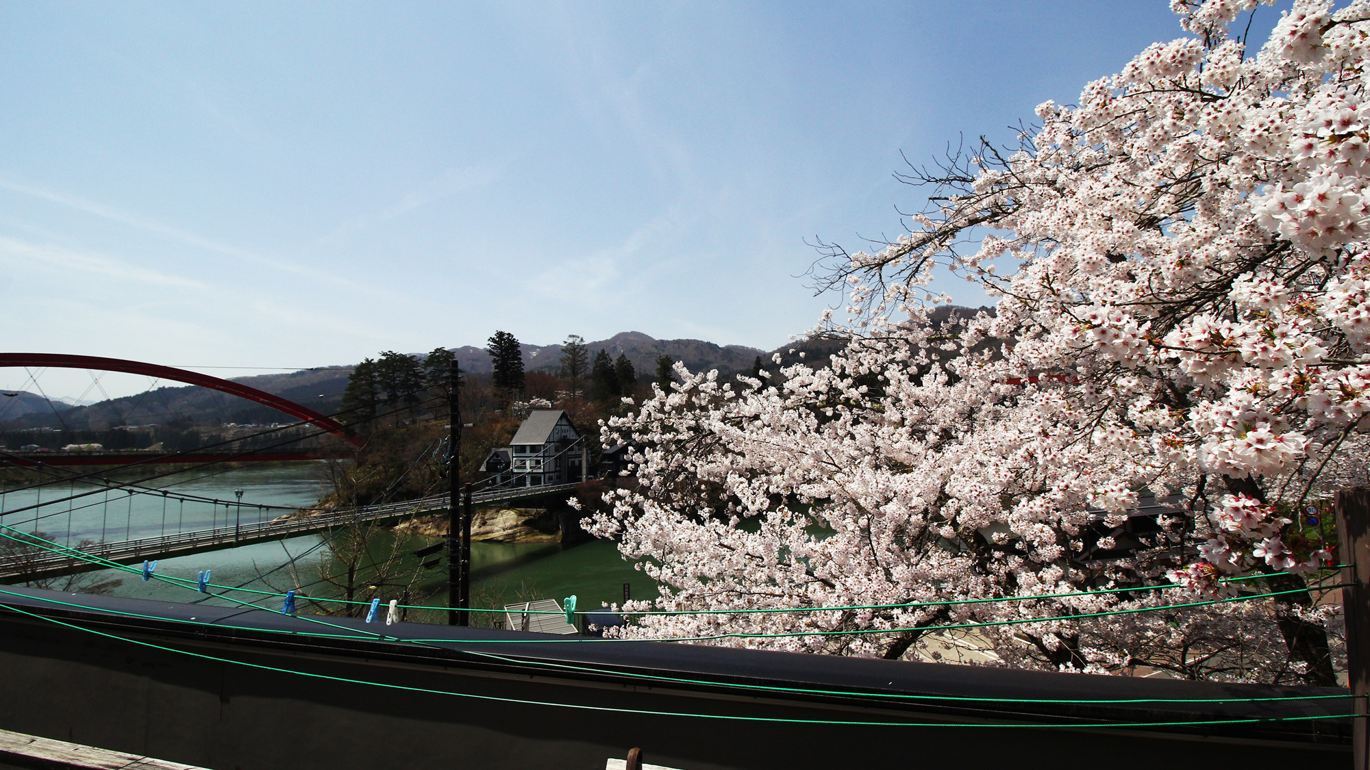 #桜の間～春～