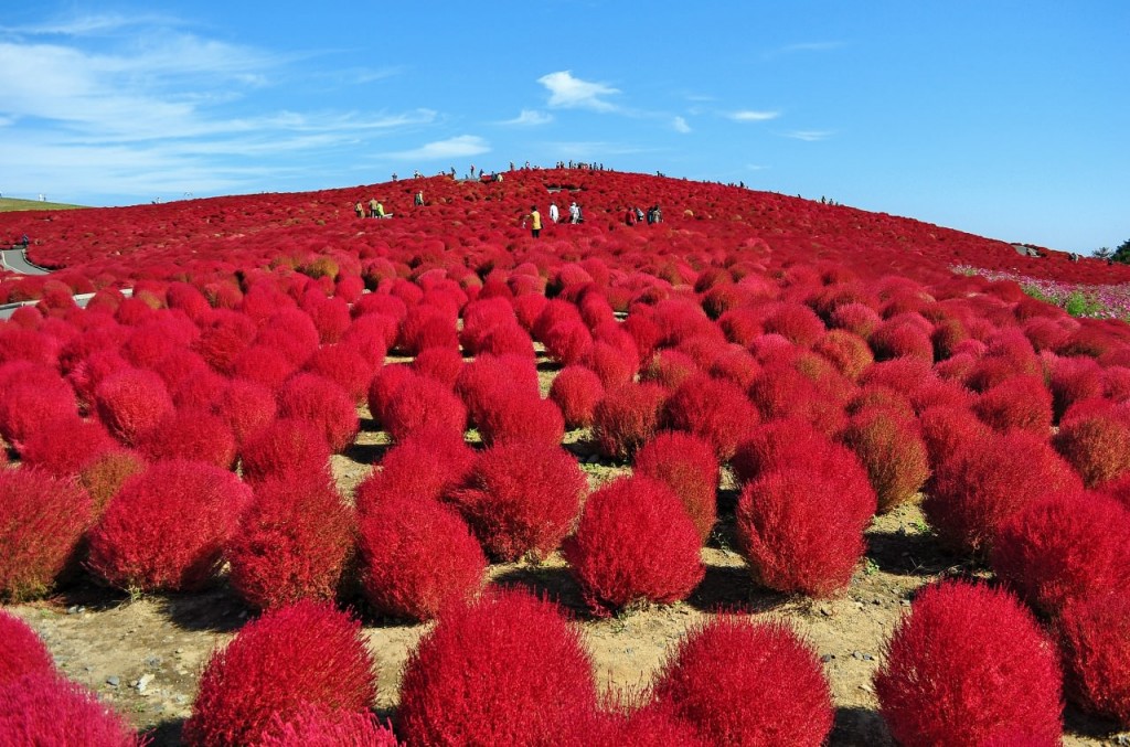 写真4