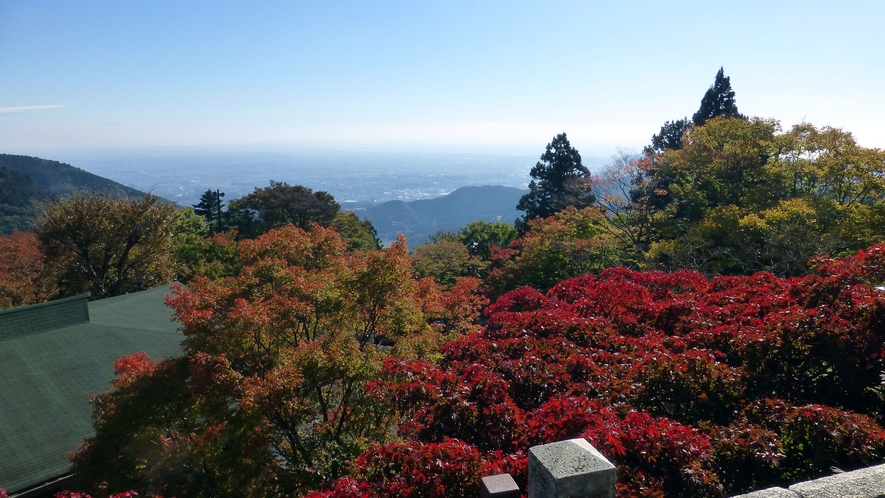 *【阿夫利神社周辺】毎年11月には真っ赤な紅葉をお楽しみ頂けます。