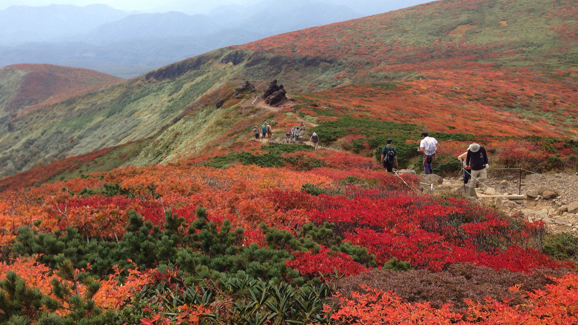 *【周辺】栗駒山