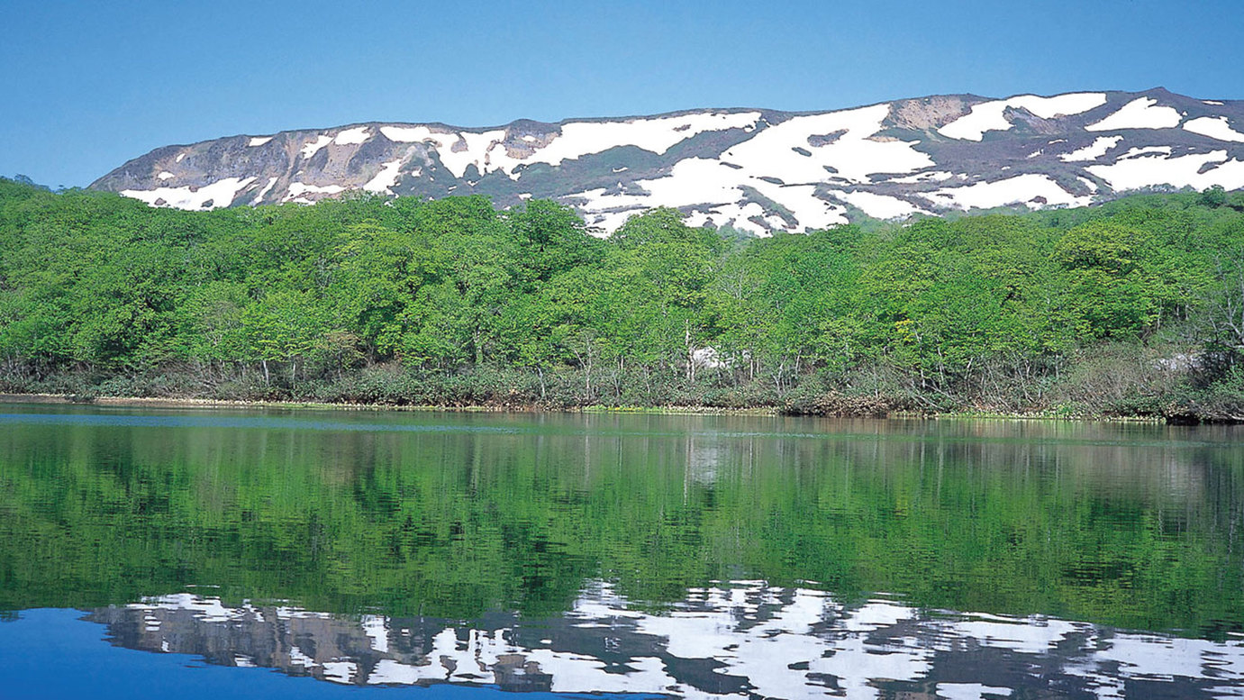 ☆源泉掛け流し☆pH9.8　強アルカリ性単純硫黄温泉☆素泊（食事無し）プラン☆