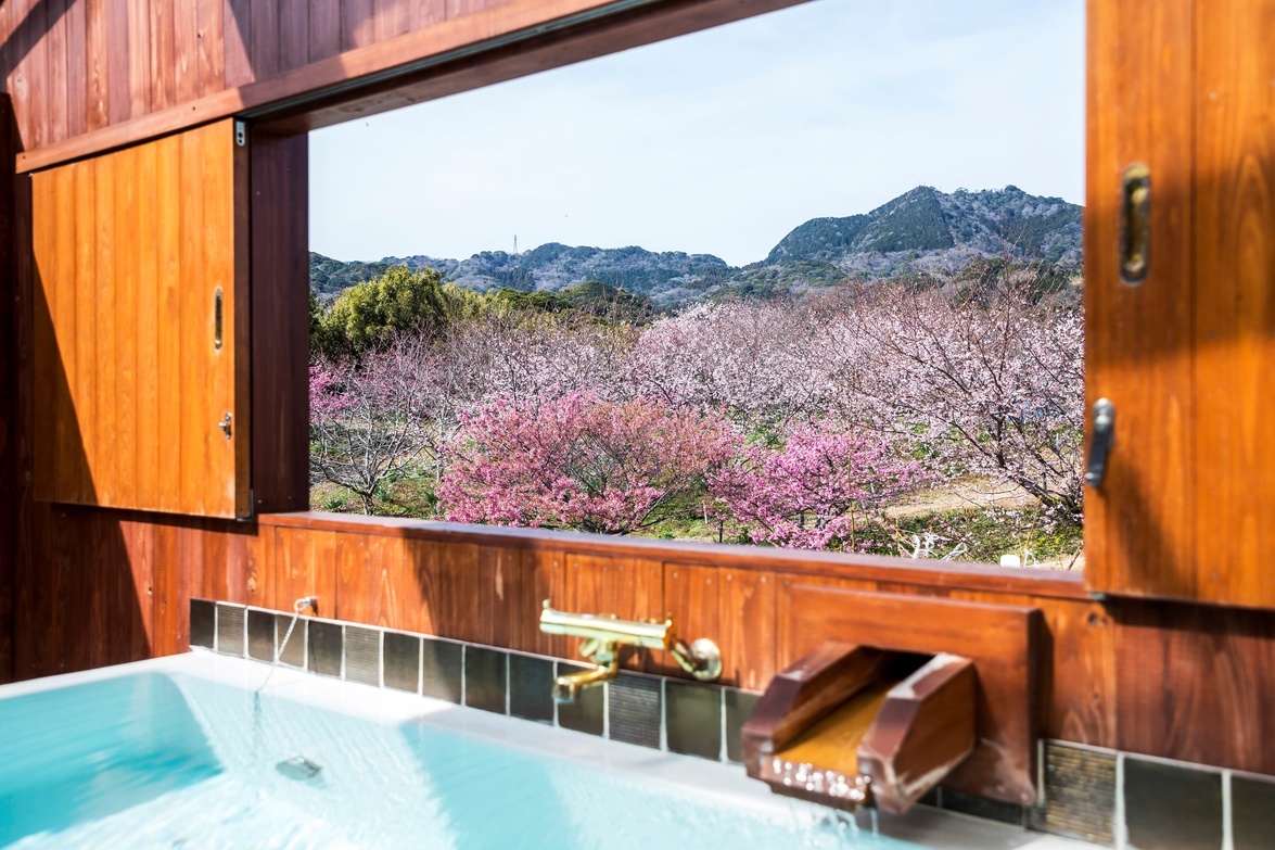 【Sakura Plan】〜春のライトディナー＆朝食〜【陽春を感じる桜尽くしライトプラン】