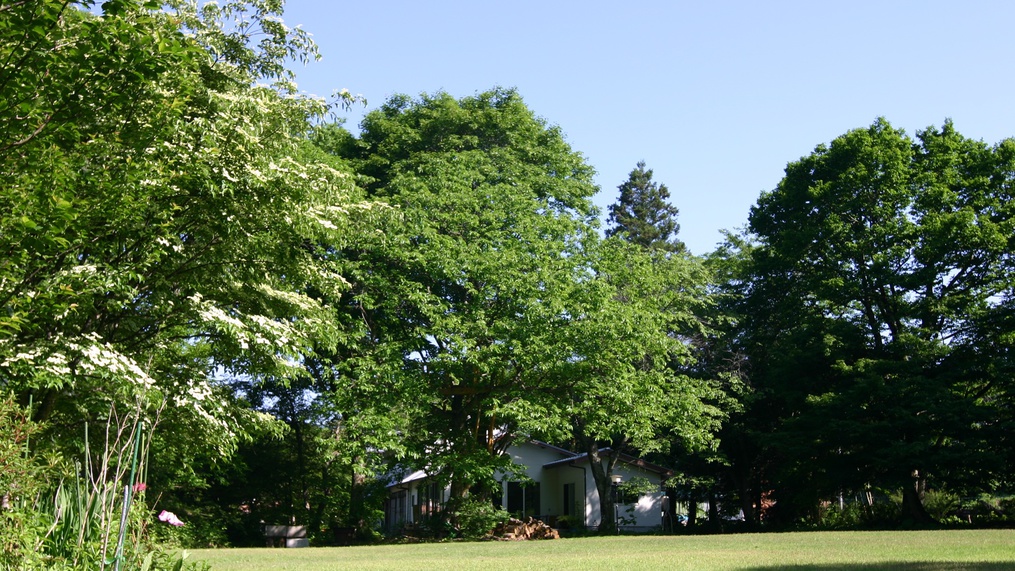 ≪二食付き≫蒜山の田舎料理♪地産地消にこだわった郷土料理風のご飯を満喫 ※現金特価