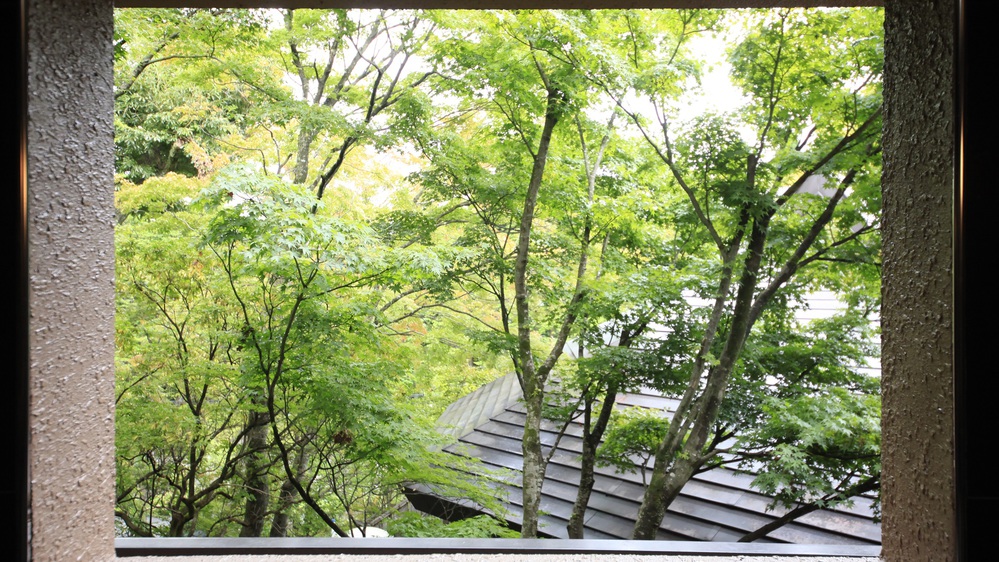 ◆【客室半露天風呂付】和モダンツイン：庭園の景色を眺めながらお寛ぎください