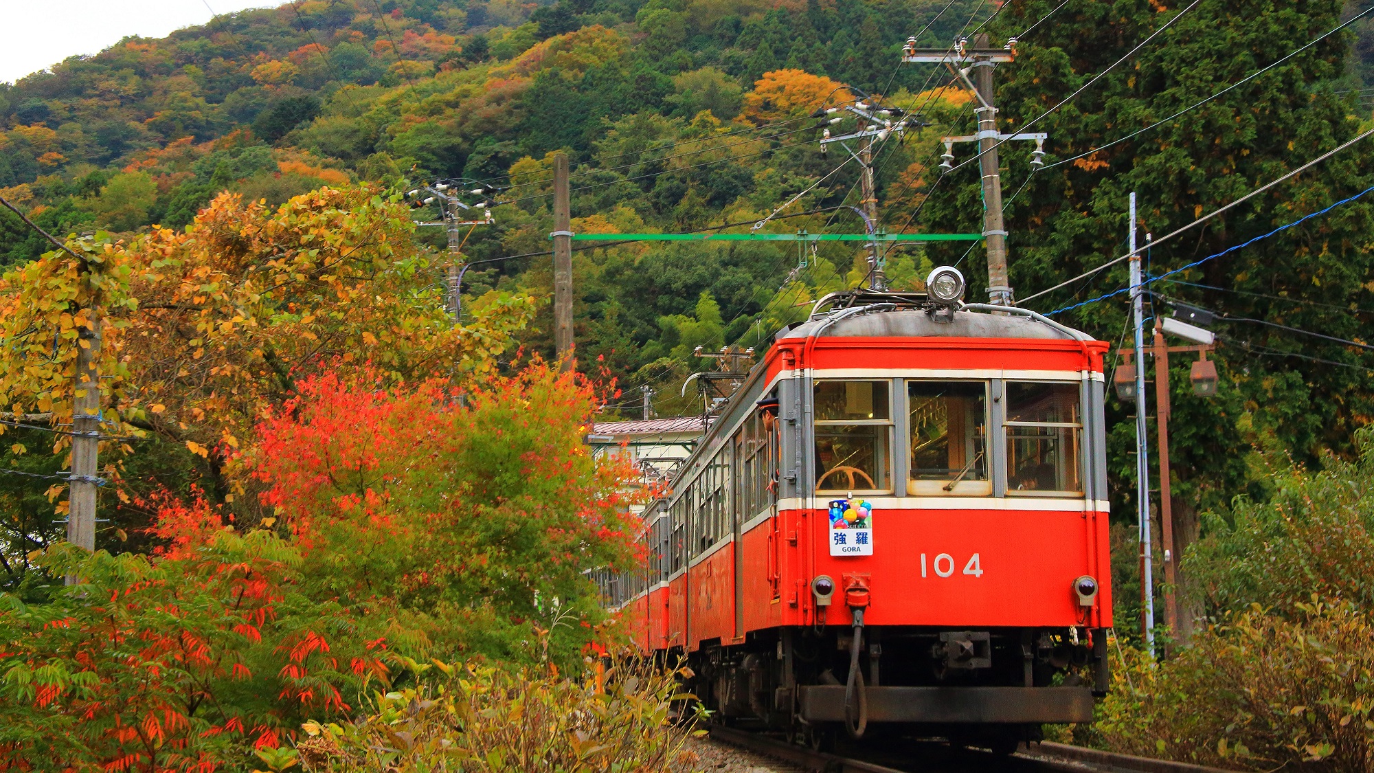 ◆秋の登山鉄道：紅葉を眺めながら登山鉄道でお越しください