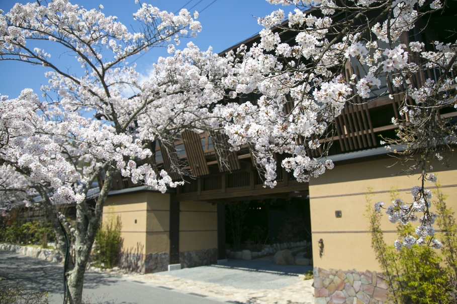 桜と花桃 春雅！【華賓会席】１泊２食付スタンダードプラン