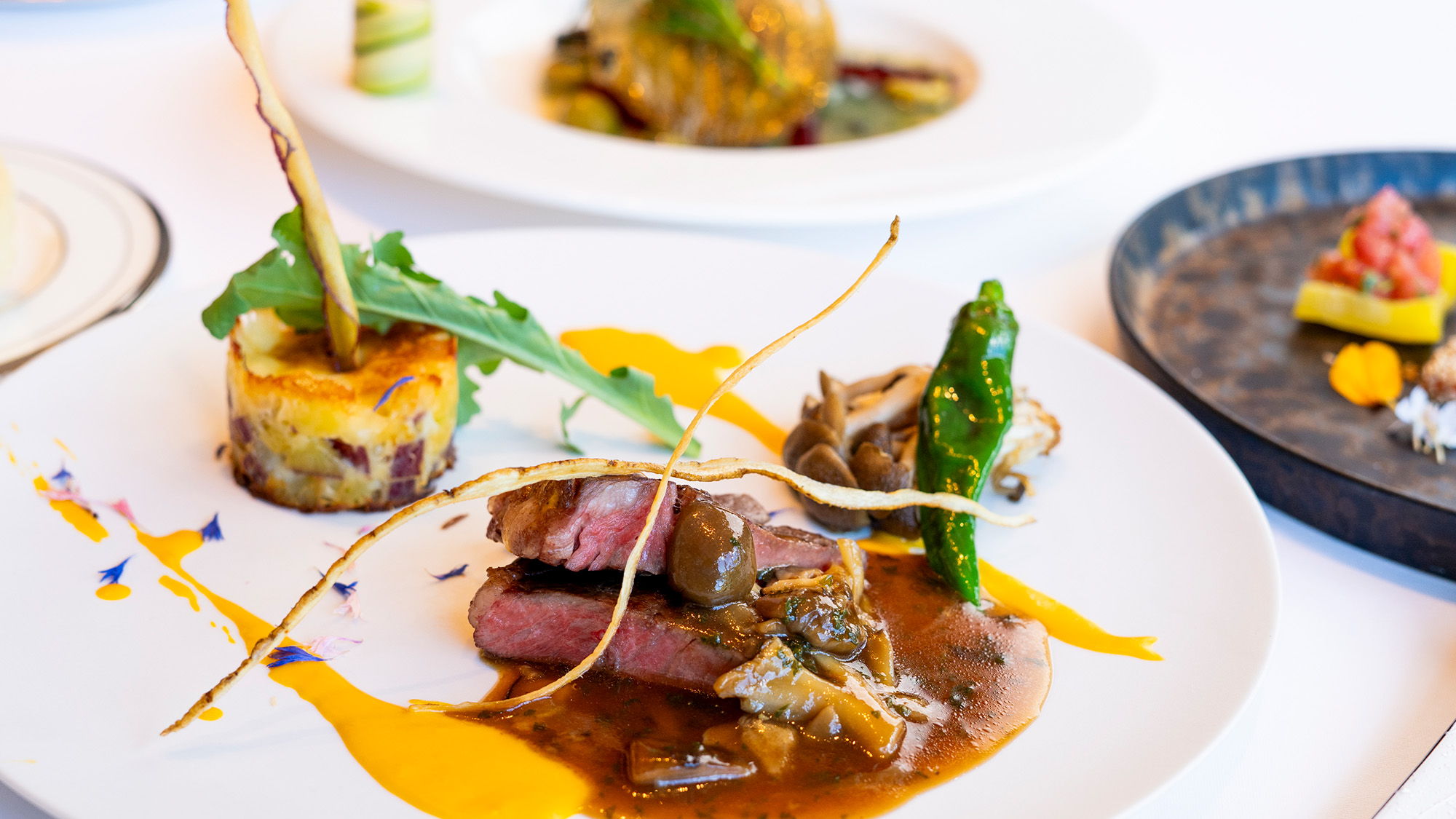 グルメコース  2025秋ディナーお料理（イメージ）